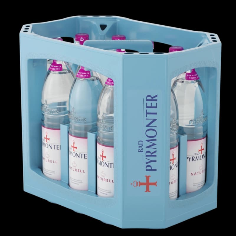 Bad Pyrmonter Naturell 12x0,75l 