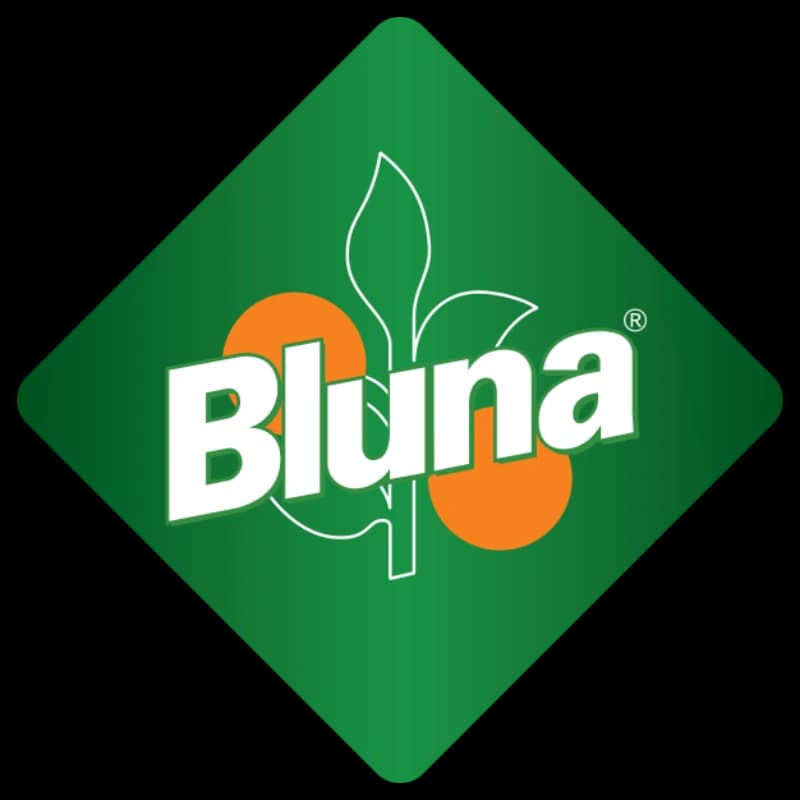 Bluna Orange 24x0,33l