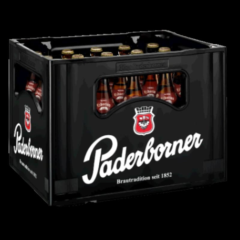 Paderborner Liborius 20x0,5l 
