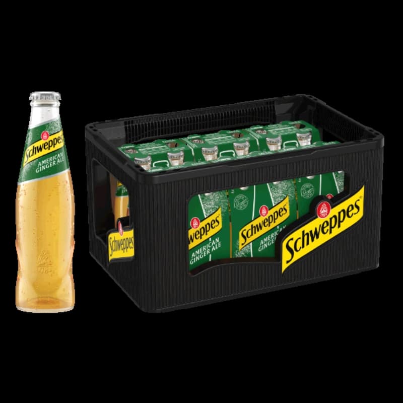 Schweppes Ginger Ale 6x4x0,2l 