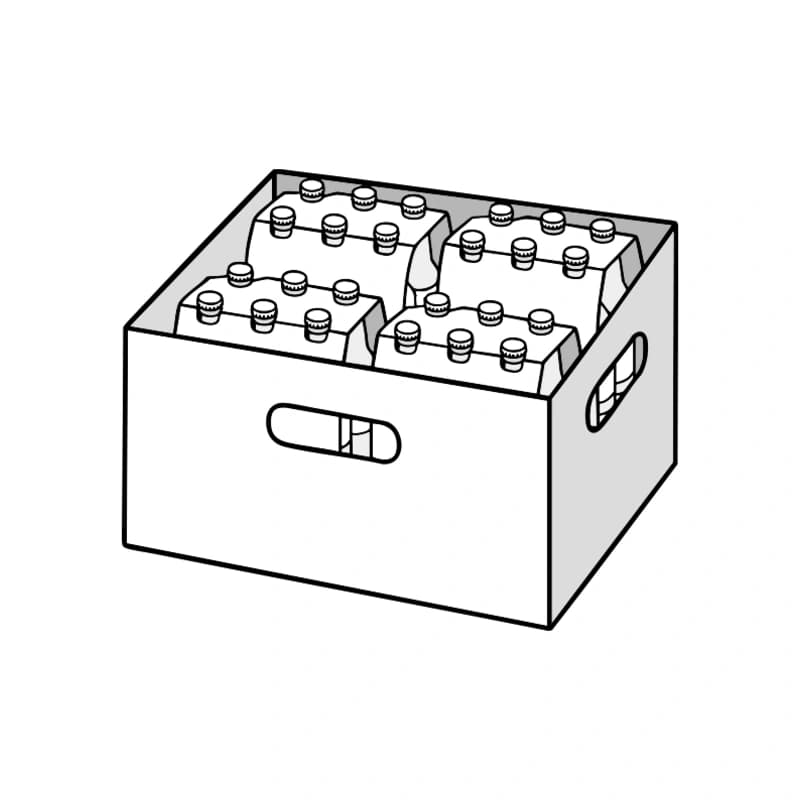 Roar IPA 6x4x0,33l