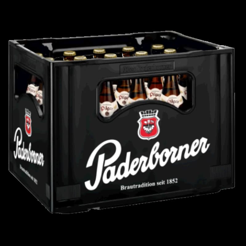 Paderborner Pilger 20x0,5l