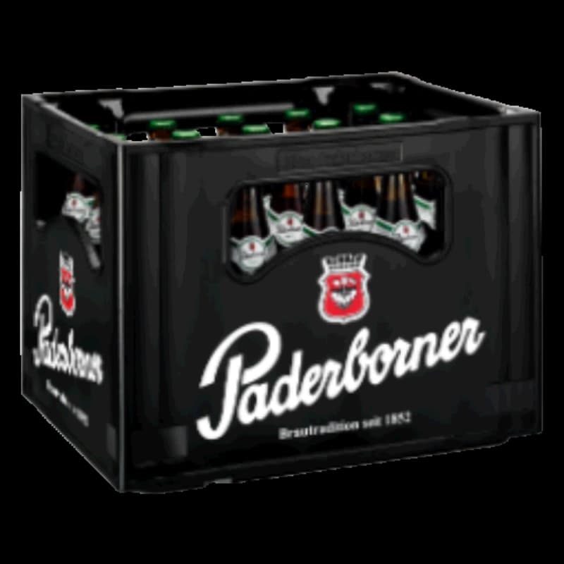 Paderborner Alt 20x0,5l 