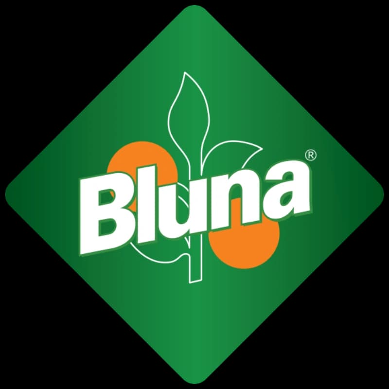 Bluna Orange ohne Zucker 24x0,33l